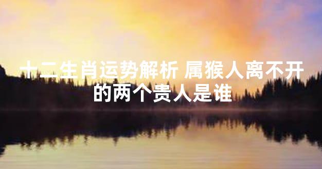 十二生肖运势解析 属猴人离不开的两个贵人是谁